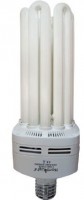CFL 125W FLORACION